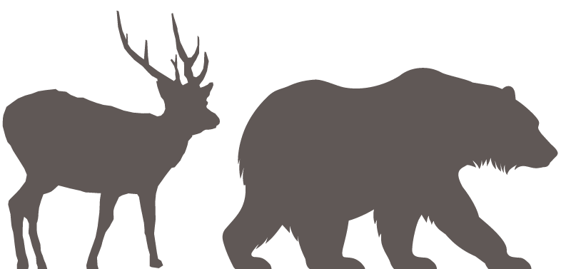 鹿とクマイメージ