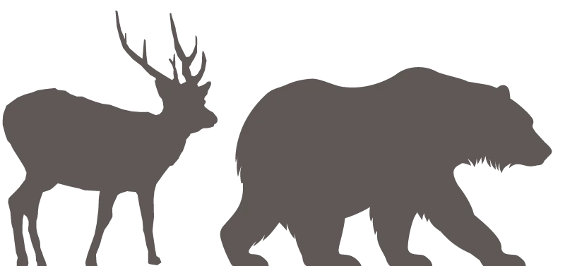 鹿とクマイメージ