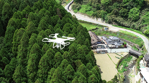 森林調査・巡回