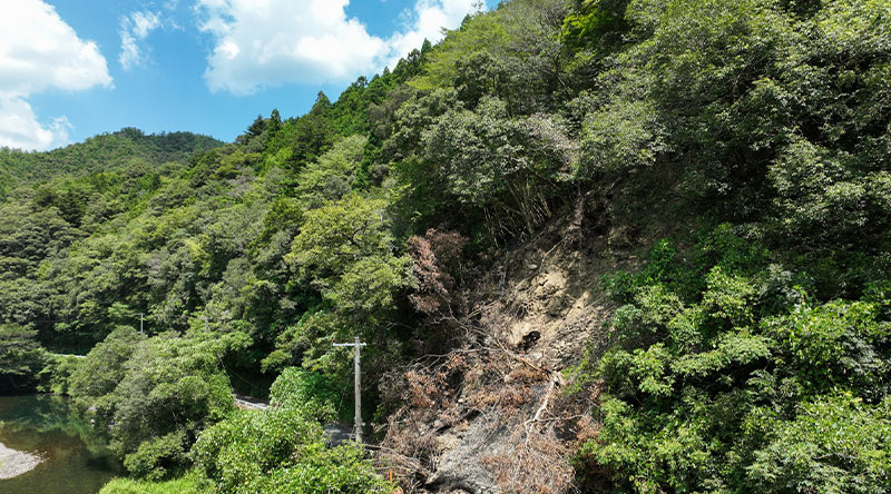 危険リスクの回避